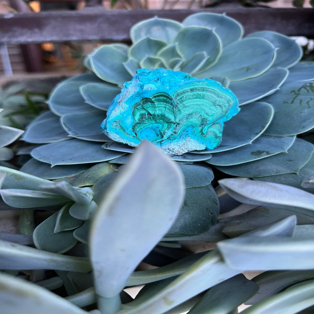 Chrysocolla Malachite